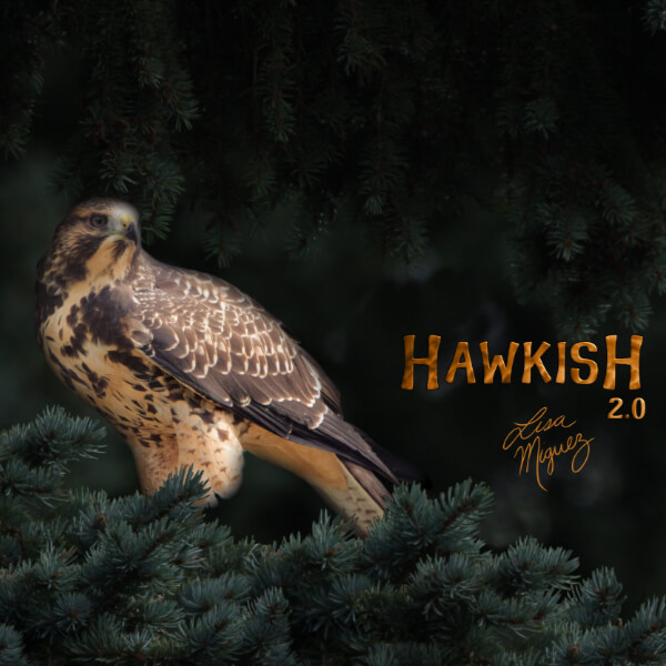 Hawkish 2.0