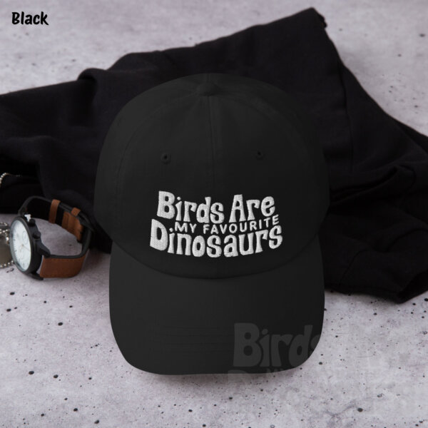 birds are my favourite dinosaurs hat