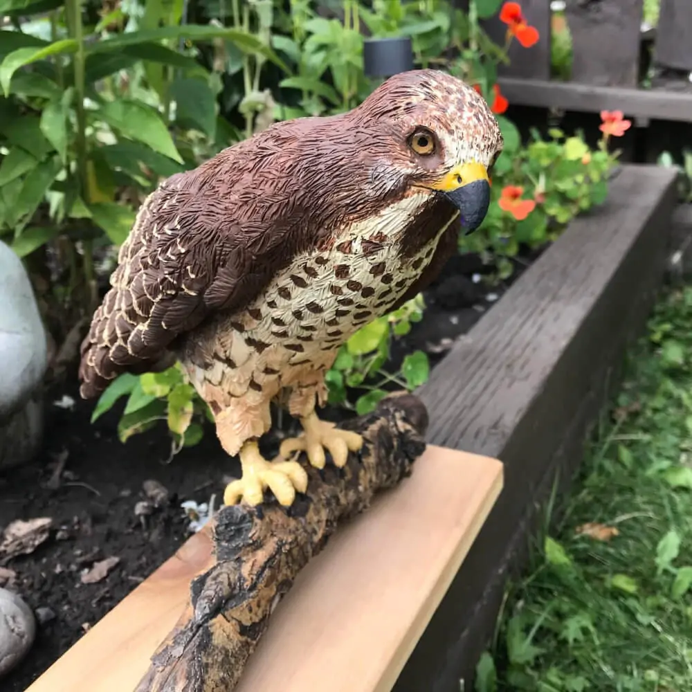 A sculpture of a juvenile Swainson's Hawk made from polymer clay