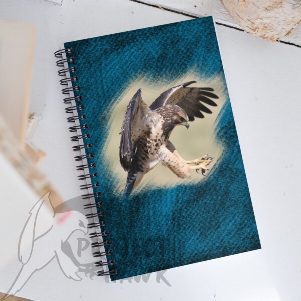 project hawk notebook