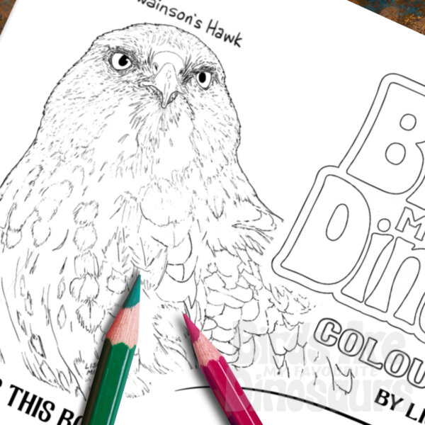 birds are my favourite dinosaurs colouring book