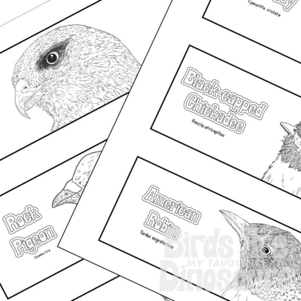 birds are my favourite dinosaurs bookmarks