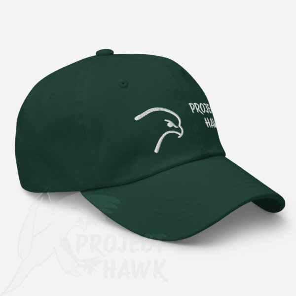 project hawk hat